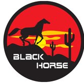 Capa com Cadeado para Estepe Cavalo Negro