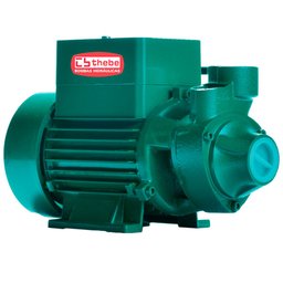 Motobomba Centrífuga Solar Monoestágio TP CI 540W 72V EBARA-10-001-4609