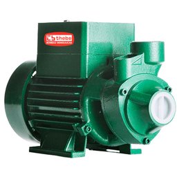 Motobomba Centrífuga Solar Monoestágio TP CI 272W 44V EBARA-10-001-4608