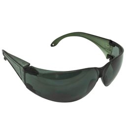 Óculos de Segurança Harpia/Croma Modelo Centauro Fumê-PROTEPLUS-2870006