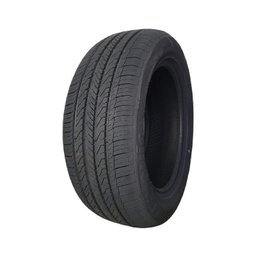 Pneu Aptany 205/65R15 94V RP203