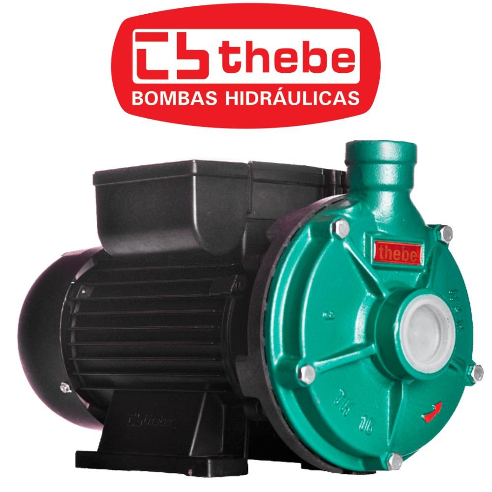 Motobomba Centrífuga TH-16 IP-55 2CV Bivolt 127/220V EBARA-125.01.525064 - Imagem