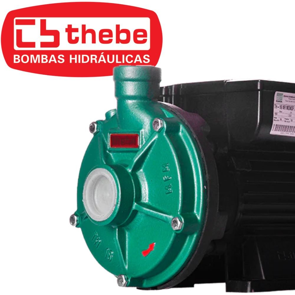 Motobomba Centrífuga TH-16 IP-55 2CV Bivolt 127/220V EBARA-125.01.525064 - Imagem