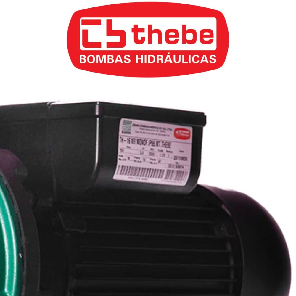 Motobomba Centrífuga TH-16 IP-55 2CV Bivolt 127/220V EBARA-125.01.525064 - Imagem
