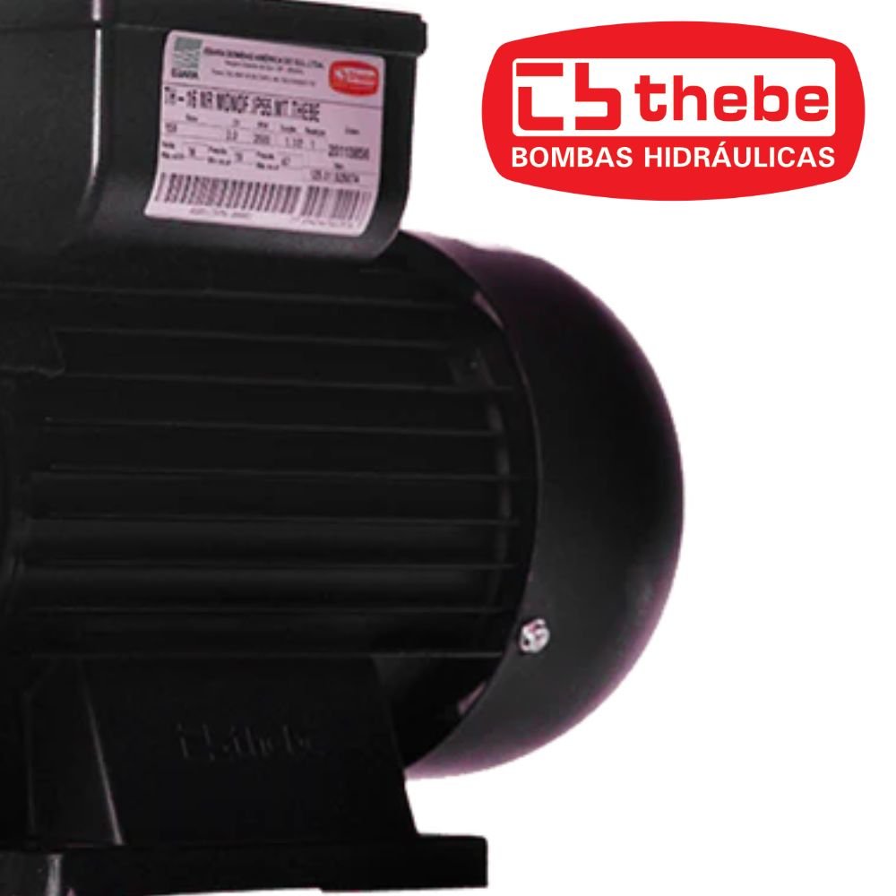 Motobomba Centrífuga TH-16 IP-55 2CV Bivolt 127/220V EBARA-125.01.525064 - Imagem