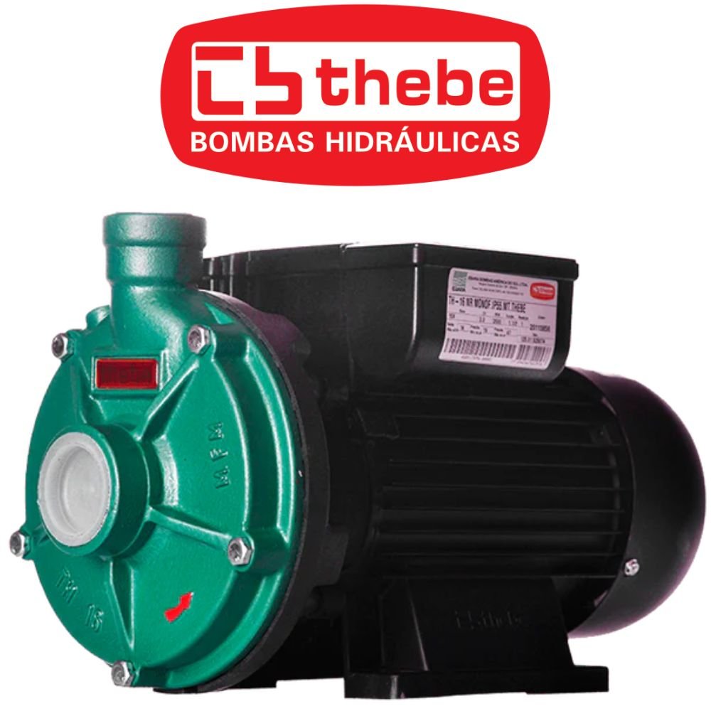 Motobomba Centrífuga TH-16 IP-55 2CV Bivolt 127/220V EBARA-125.01.525064 - Imagem