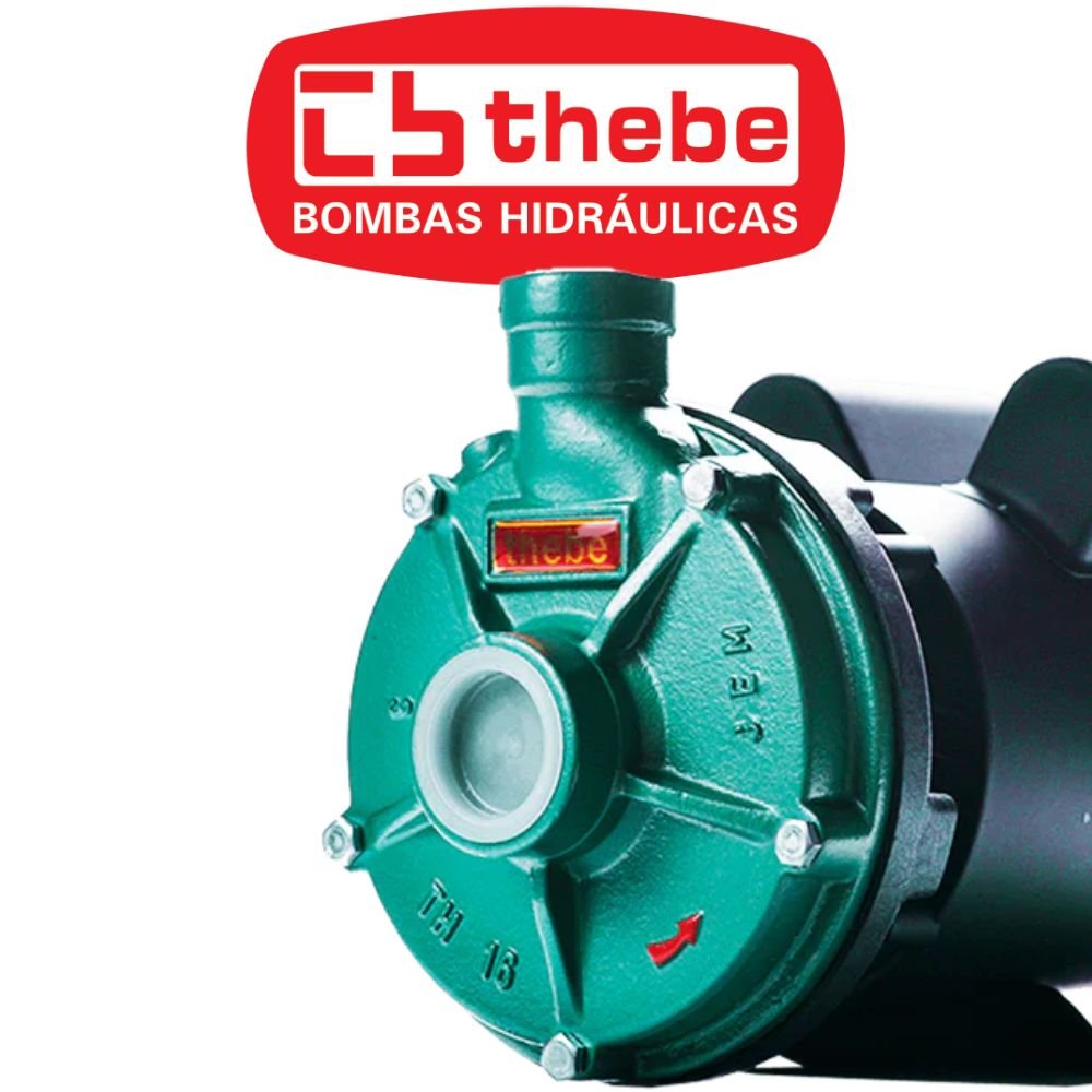 Motobomba Centrífuga Monoestágio TH-16 IP23 3CV Monofásico Bivolt 127/220V EBARA-125.01.525078 - Imagem