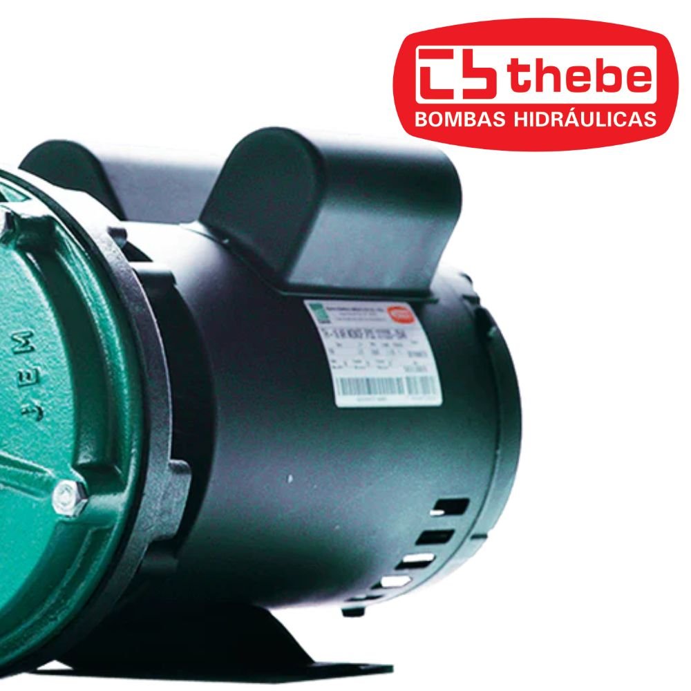 Motobomba Centrífuga Monoestágio TH-16 IP23 3CV Monofásico Bivolt 127/220V EBARA-125.01.525078 - Imagem