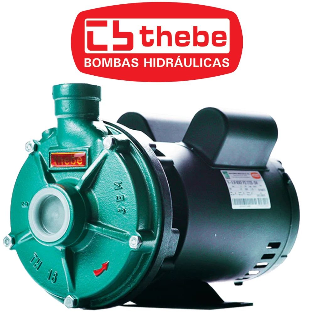 Motobomba Centrífuga Monoestágio TH-16 IP23 3CV Monofásico Bivolt 127/220V EBARA-125.01.525078 - Imagem