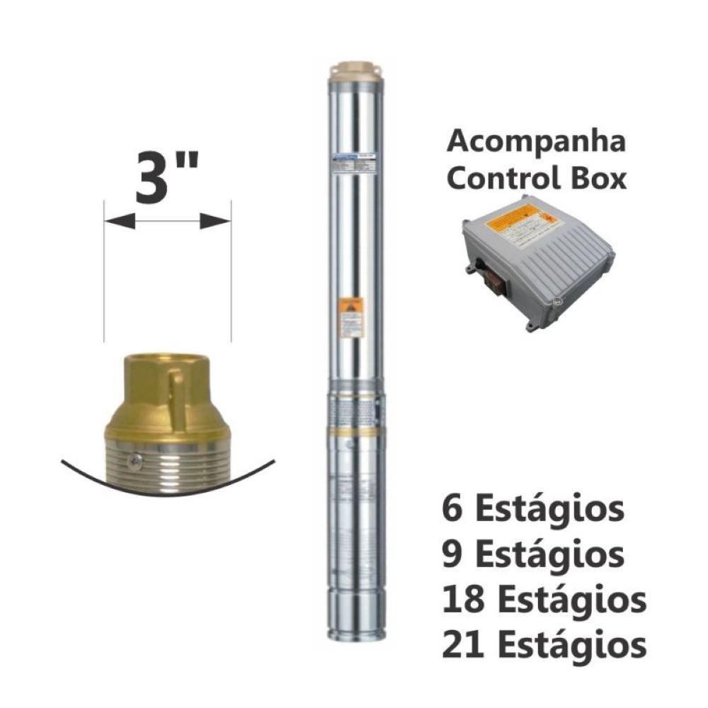 Motobomba Submersa tipo Caneta 3/4cv 60Hz Monofásico 110V ESUB-3/13 Eletroplas - Imagem