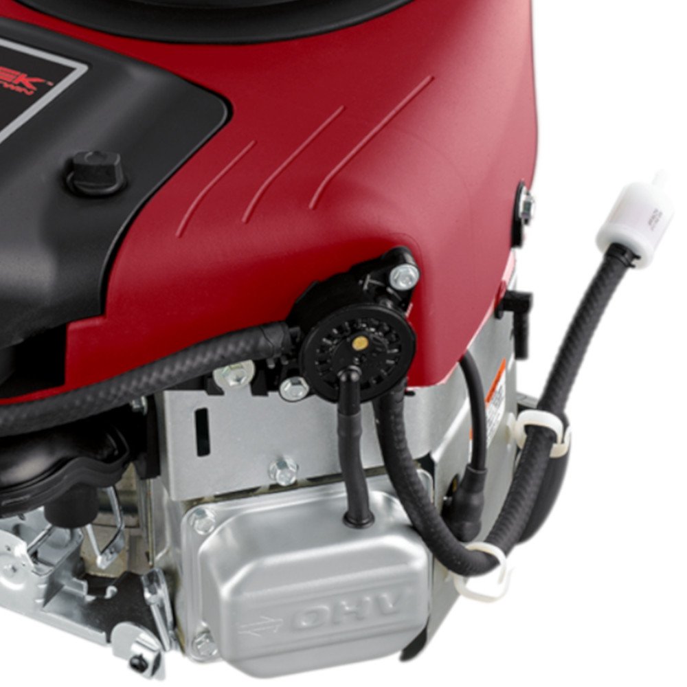 Motor Intek 20HP Vertical  - Imagem