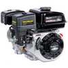 Motor a Gasolina TE65C-XP 4T Refrigerado a Ar 6.5HP 196CC Partida Manual com Embreagem - Imagem 1