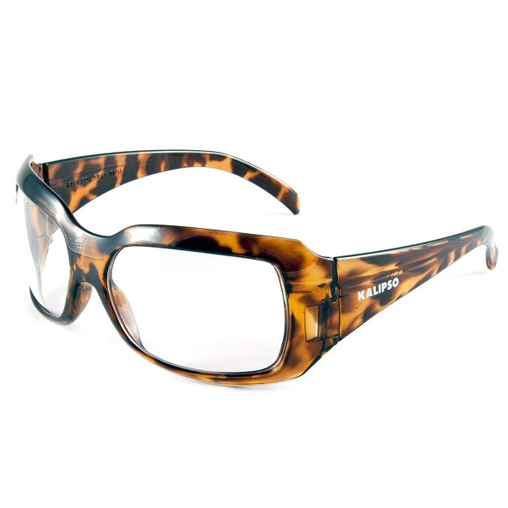 Óculos de Proteção Ibiza Incolor com Armação Marrom-KALIPSO-01.19.2.2