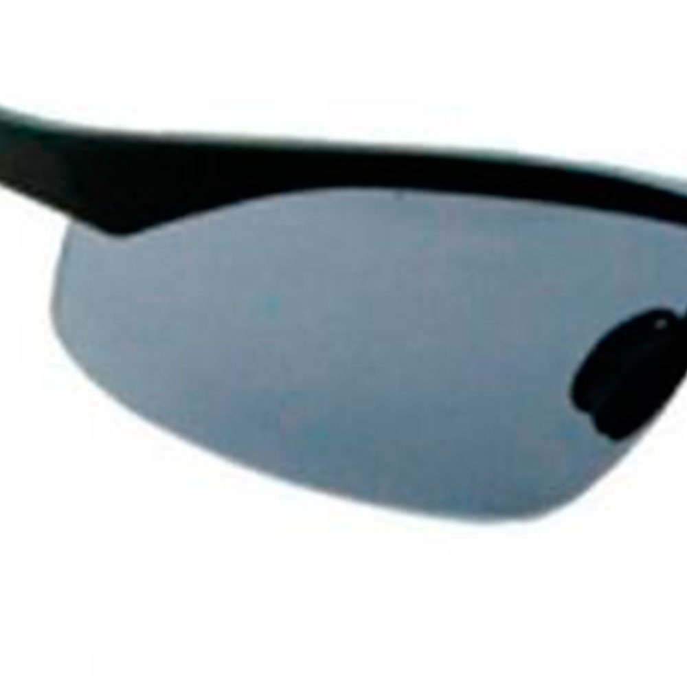 Óculos de Segurança Cinza Evolution - Imagem zoom