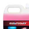Shampoo Automotivo 5L  - Imagem 3