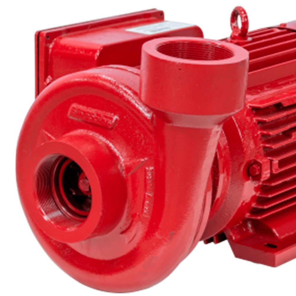 Motobomba Centrífuga 12,5CV 60Hz 220/380V Monoestágio para Incêndio ELETROPLAS-220873  - Imagem