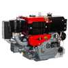 Motor a Diesel 638CC 4T 12.5 HP com Partida Elétrica TDWE12.5RE-XP - Imagem 1