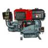 Motor a Diesel TDWE30E-HD Refrigerado a Água 1592cc 30HP com Partida Elétrica - Imagem 3