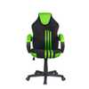 Cadeira Gamer Pelegrin PEL-3005 Preta e Verde - Imagem 1