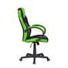 Cadeira Gamer Pelegrin PEL-3005 Preta e Verde - Imagem 5