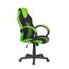 Cadeira Gamer Pelegrin PEL-3005 Preta e Verde - Imagem 4