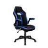 Cadeira Gamer Pelegrin PEL-3011 Preta e Azul - Imagem 3