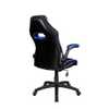 Cadeira Gamer Pelegrin PEL-3011 Preta e Azul - Imagem 5