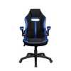 Cadeira Gamer Pelegrin PEL-3011 Preta e Azul - Imagem 1