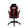 Cadeira Gamer Pelegrin PEL-3011 Preta e Vermelha - Imagem 1