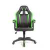 Cadeira Gamer Fortt Lípsia Verde - Cgf002-vr - Imagem 1