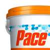 Pace Dicloro 60% 10kg - Imagem 2
