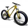 Bicicleta Fat Bike Gtr-x Aro 26 Freios Disco Alumínio Shimano Quadro 17 Dourado - Imagem 4