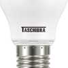 Lâmpada de LED Branca Fria TKL 40 7W 6500K 50/60Hz - Imagem 4