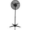 Ventilador Pedestal Oscilante 50 Cm Pp 110V Preto - Imagem 1