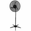 Ventilador Pedestal Oscilante 60 Cm Pp 110V Preto - Imagem 1