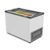 Freezer Horizontal 284 Litros 220V Nf30S - Metalfrio - Imagem 2